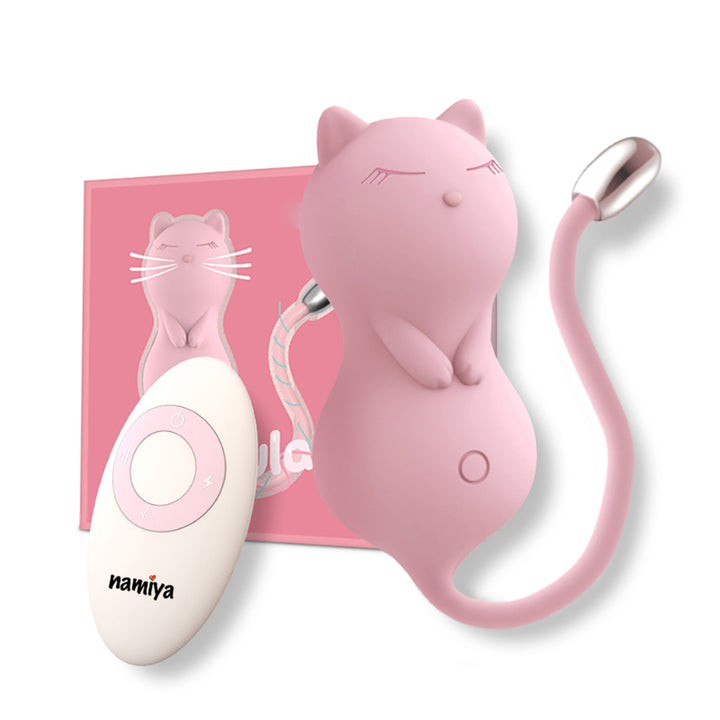Namiya paula リモコン  電動膣トレローター バイブ